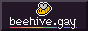 a bee flying above the text 'beehive.gay'